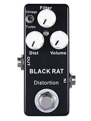 Black Rat